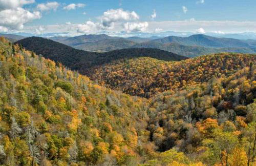 Outdoor Enthusiast's Dream Cabin Hiking & Rafting - Foto 13