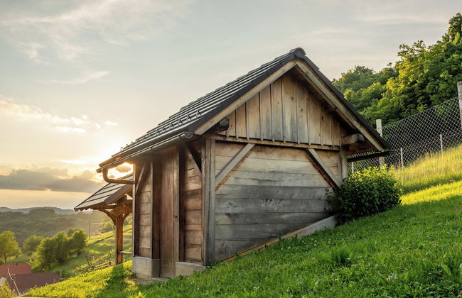 Vineyard cottage Jelenov hrib - Foto 27