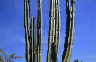 Malvazios Villas #3 - Foto 22