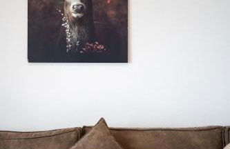 Select-Home 3 - Netflix - Parkplatz - Business Home - Foto 24