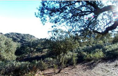 Casa Rural del Corral - Foto 55