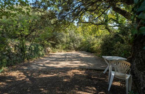 Provencal bastide with heated pool near Alpilles and Luberon - Foto 33