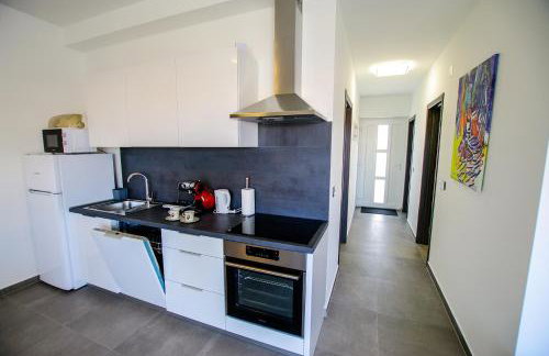 Apartmani Hiza i Vila - Foto 43