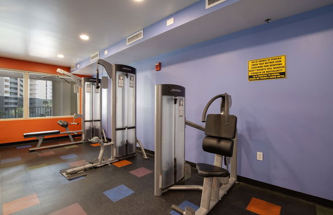 Penthouse With Beautiful Beach Views! 1 Bedroom, 2 Bathroom Penthouse! - Foto 17