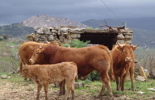 Agriturismo San Pietro - Foto 75