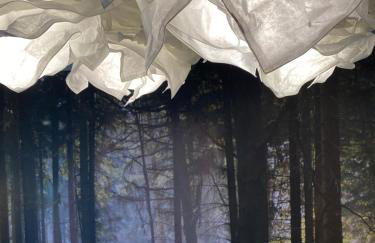 Ferienwohnungen auf Halbinsel Scheid in direkter Ufernähe - Foto 19