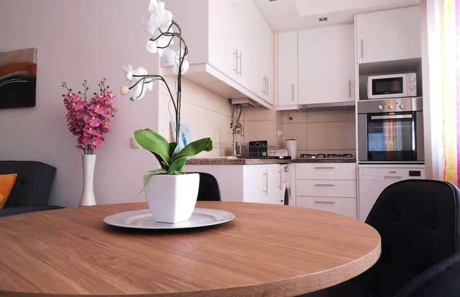 Apartamento Praia Mar Sol - Foto 7