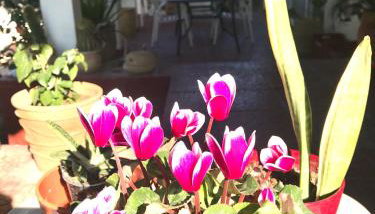 Villa Ioanna - Foto 3