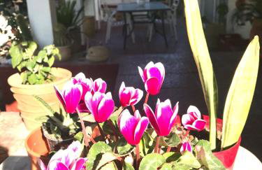 Villa Ioanna - Foto 3