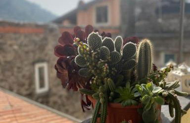 Casa di Cri - Foto 18