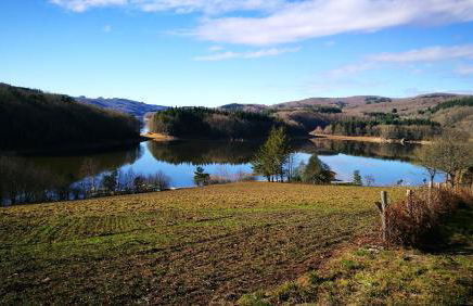 Appartement charmant à La Salvetat-sur-Aout 50 m² avec jardin - Foto 5