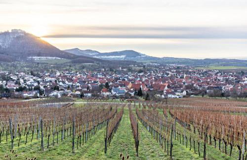 Studti 134 - Foto 11