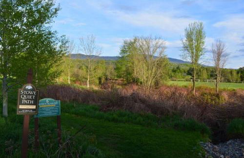 Mountainside Resort F401 - Foto 8