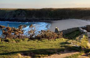 Cosy Cottage overlooking the Teifi Gorge - Foto 26