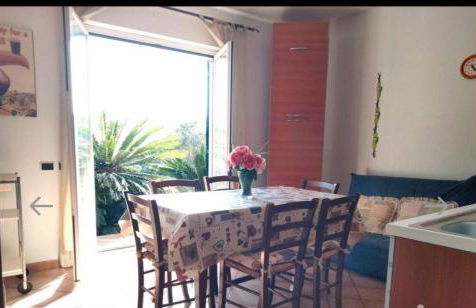 Red Squirrels - Foto 4