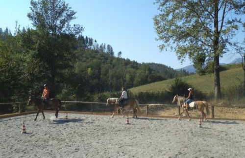 Agriturismo la Fattoria al Crocefisso - Foto 12