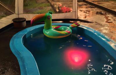 Osada Brzeziny - 25 minut od Warszawy - sauna, balia z jacuzzi, basen, altana, grill, ogród, ognisko - Foto 14