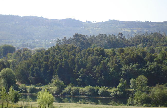 Impeccable 2-bed House in Prozelo - Foto 32