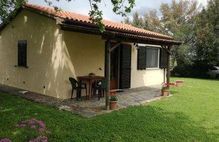 Agriturismo cavallin del papa - Foto 14