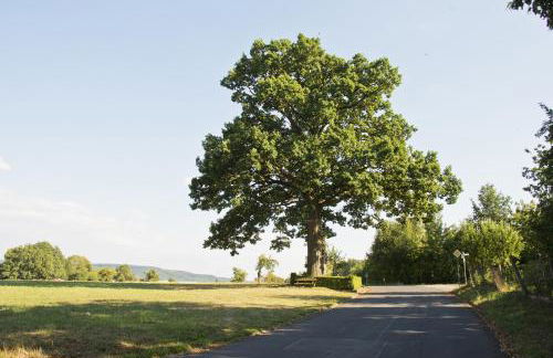 Ferienwohnung Kaim - Foto 14