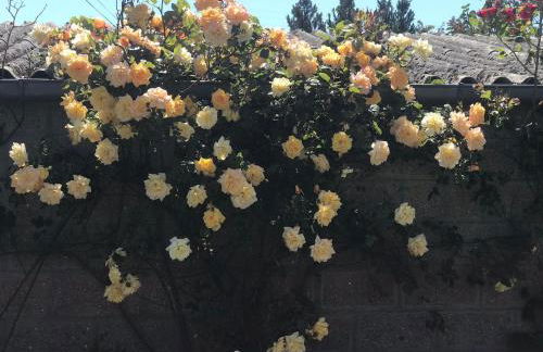 La Grange - unique property, peace, space & light - Foto 12