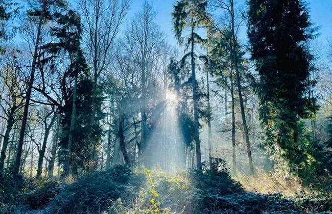 Cottage in Area of Outstanding Natural Beauty - Foto 66