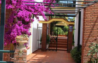 Elia Apartments - Photo 26
