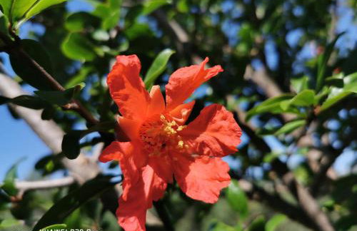 Authentic House Pelegrinka - Foto 31