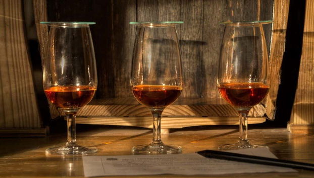 Discover the different rums!