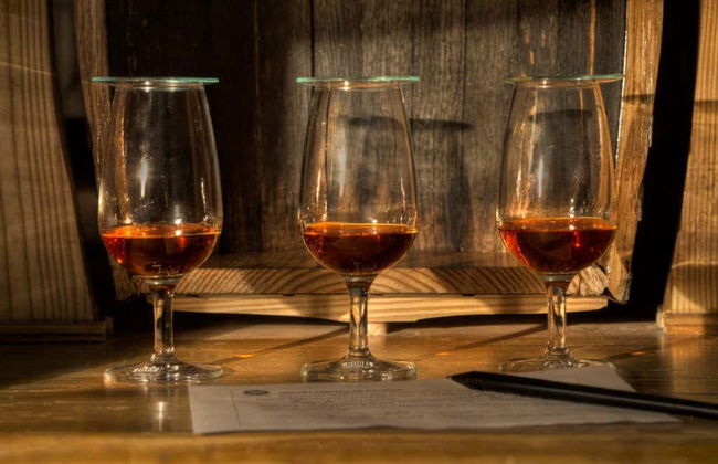 Visita al Centro Histórico Ron Barceló - Foto 4