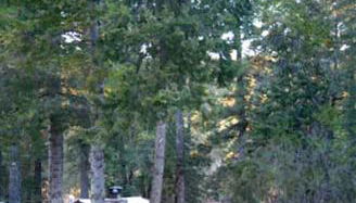 The Cabins at Cloudcroft - Foto 2