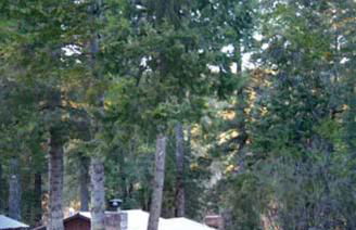 The Cabins at Cloudcroft - Foto 2