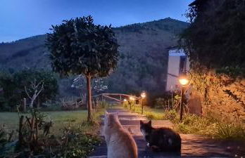 Apartamentos Rurales El Bosque de las Viñas - Photo 62