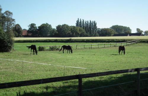 Ferienwohnung "Landblick" - Foto 1