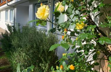 Ferienwohnung am Krippenhof - Foto 24