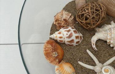 Il Verde e l'Azzurro - Foto 37