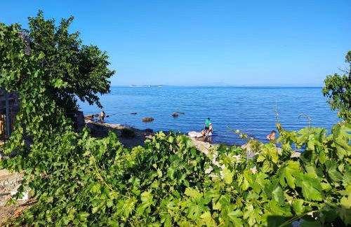 Το Παλιό Αγγειοπλαστείο Τσκαλαριό - Photo 38