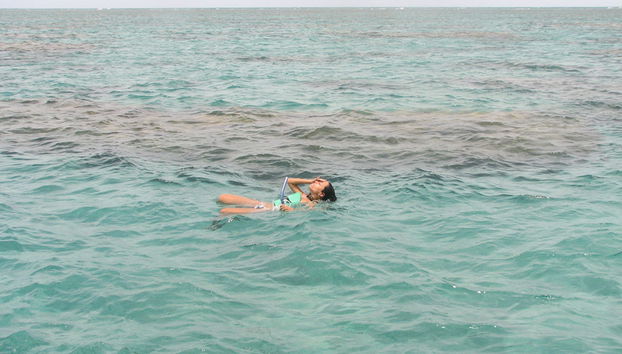 Maracajau Parrachos Reef – Mergulho com Máscara e Snorkel - Foto 4