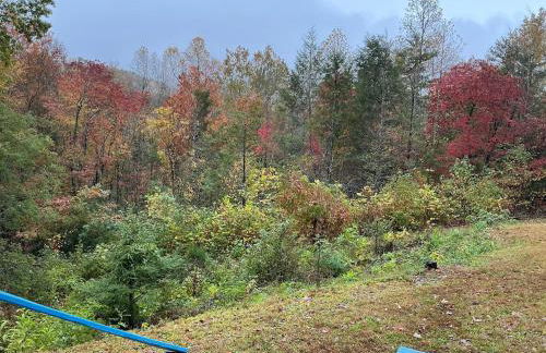 Hancock Hills Smoky Mountain Retreat CosbyTN - Foto 53