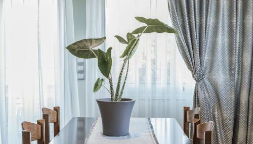 SunBeam Evia Apartment - Foto 4