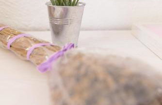 Villa Rajski Dvori - Foto 21