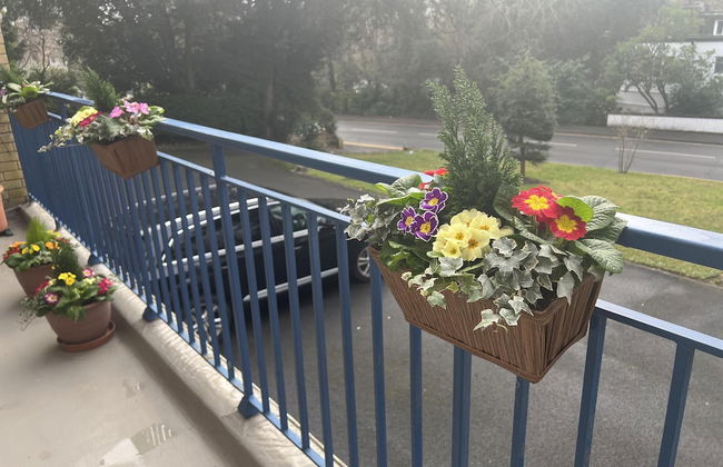 Beautiful 3 Bedroom Apartment in Bournemouth - Foto 30