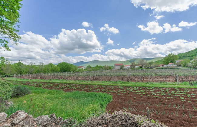 House Mali Dvori - Foto 40