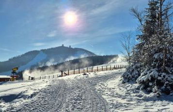 Green Home - Foto 10