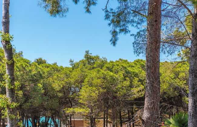 Brand New Apartment Villa 2 - Photo 49