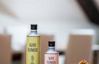 Agave in Centrale - Foto 67