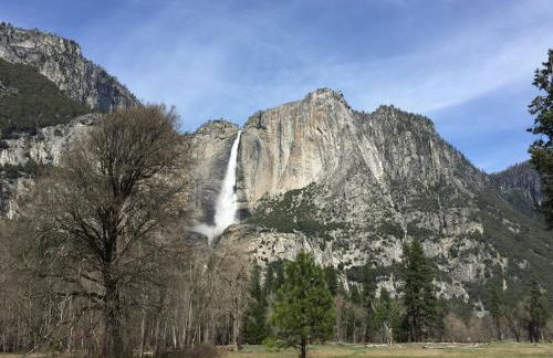 Carriage House at Yosemite - Foto 21