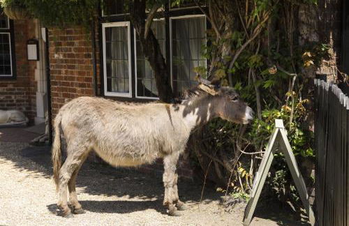 Pylewell Park House - Foto 45