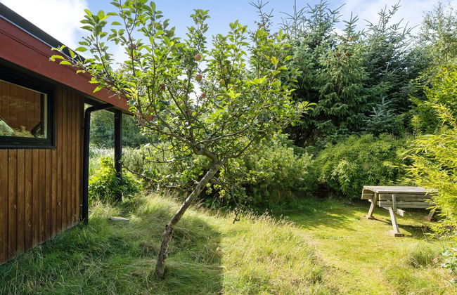 "Sune" - 500m from the sea - Foto 10