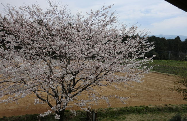 Lassy Condominium - Foto 40